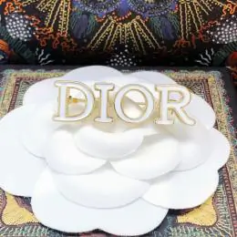 christian dior brooches pour femme s_1215103